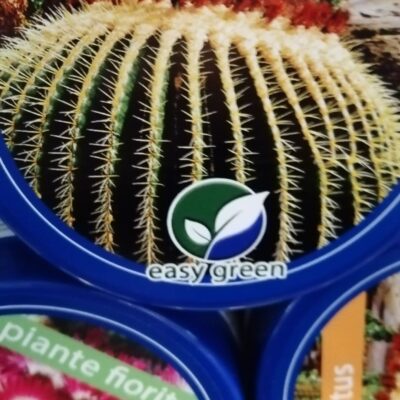 Concime Piante Grasse Venagro