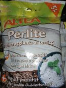 Perlite