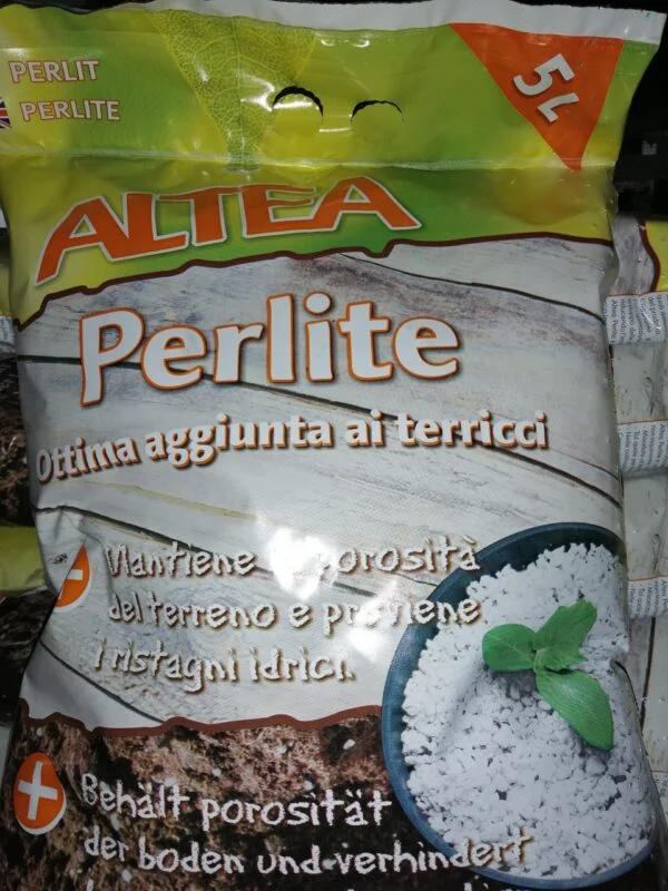 Perlite, pianta da terrario