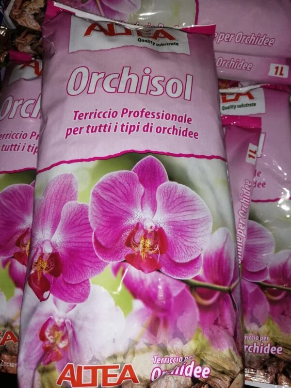 Orchisol 1L, pianta da terrario