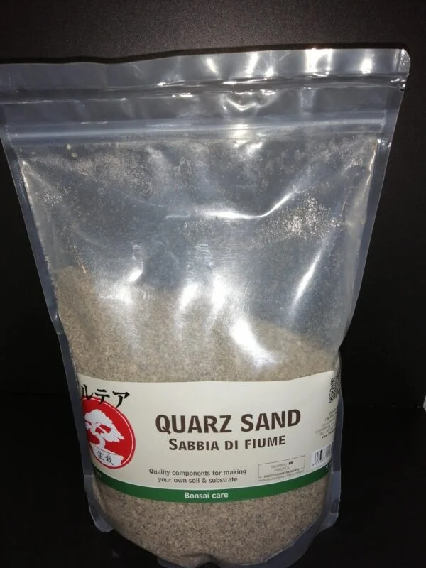 Sabbia di fiume, Quarz sand, pianta da terrario