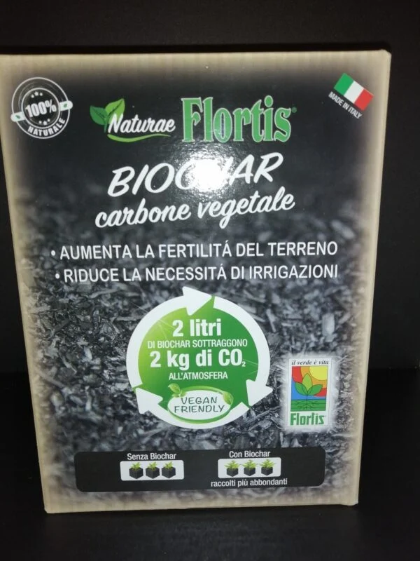 Carbone vegetale, pianta da terrario