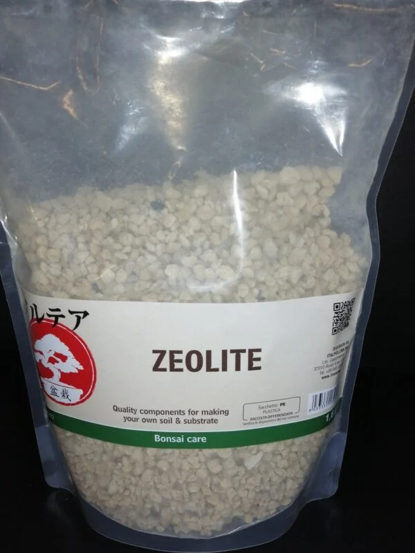 Zeolite, pianta da terrario