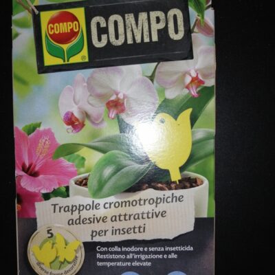 Compo Trappole Cromotropiche