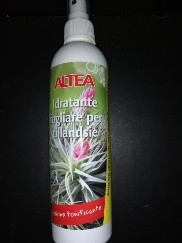 Altea Idratante fogliare per Tillansie (Copia), pianta da interno