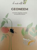 Geoneem