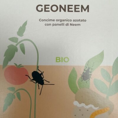 Geoneem