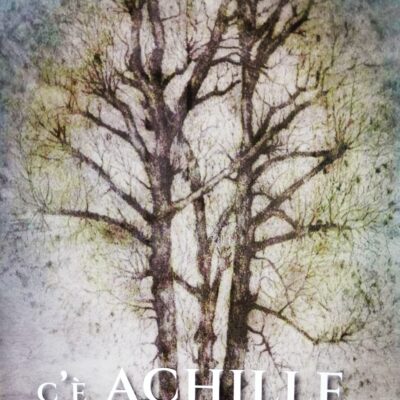 C'è Achille in giardino