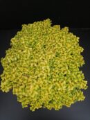 Thymus citriodorus Anderson Gold