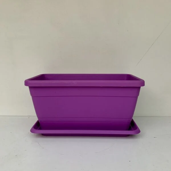 Vaso cassetta cm 20 lilla